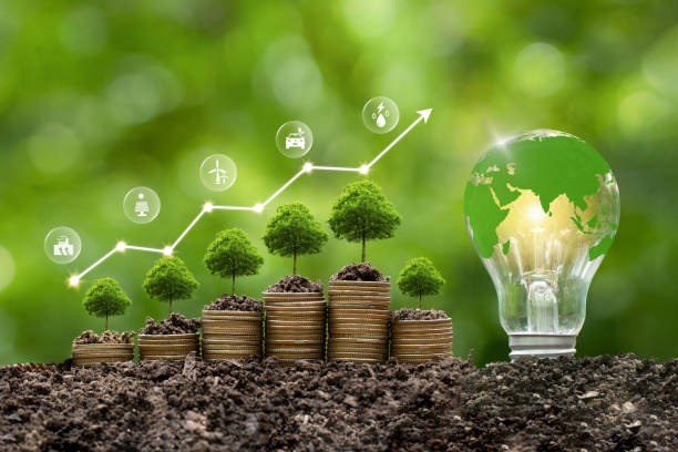 energia-verde-concetto-di-energia-ecologica-gli-alberi-che-crescono-sulle-pile-di-monete.jpg